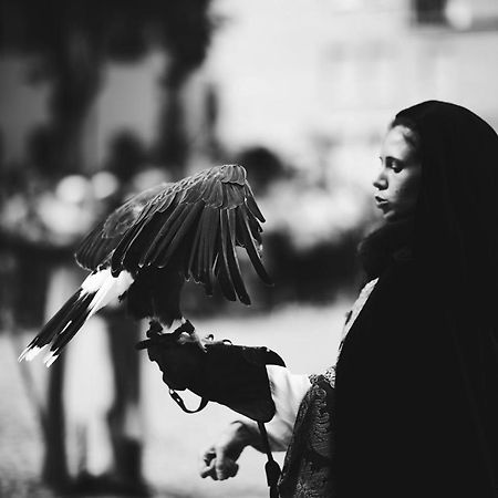 Appartamento Antiche Mura, อัสตี ภายนอก รูปภาพ