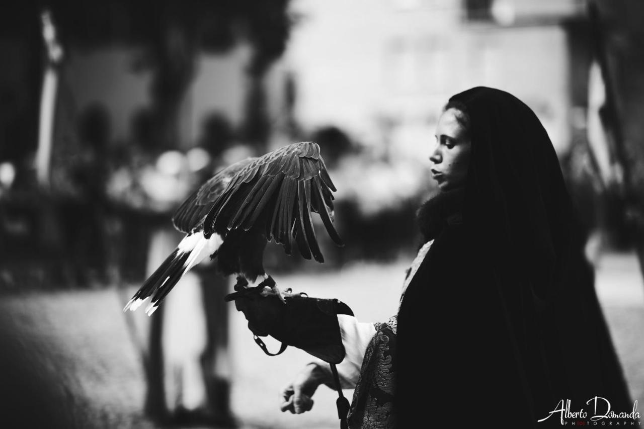 Appartamento Antiche Mura, อัสตี ภายนอก รูปภาพ